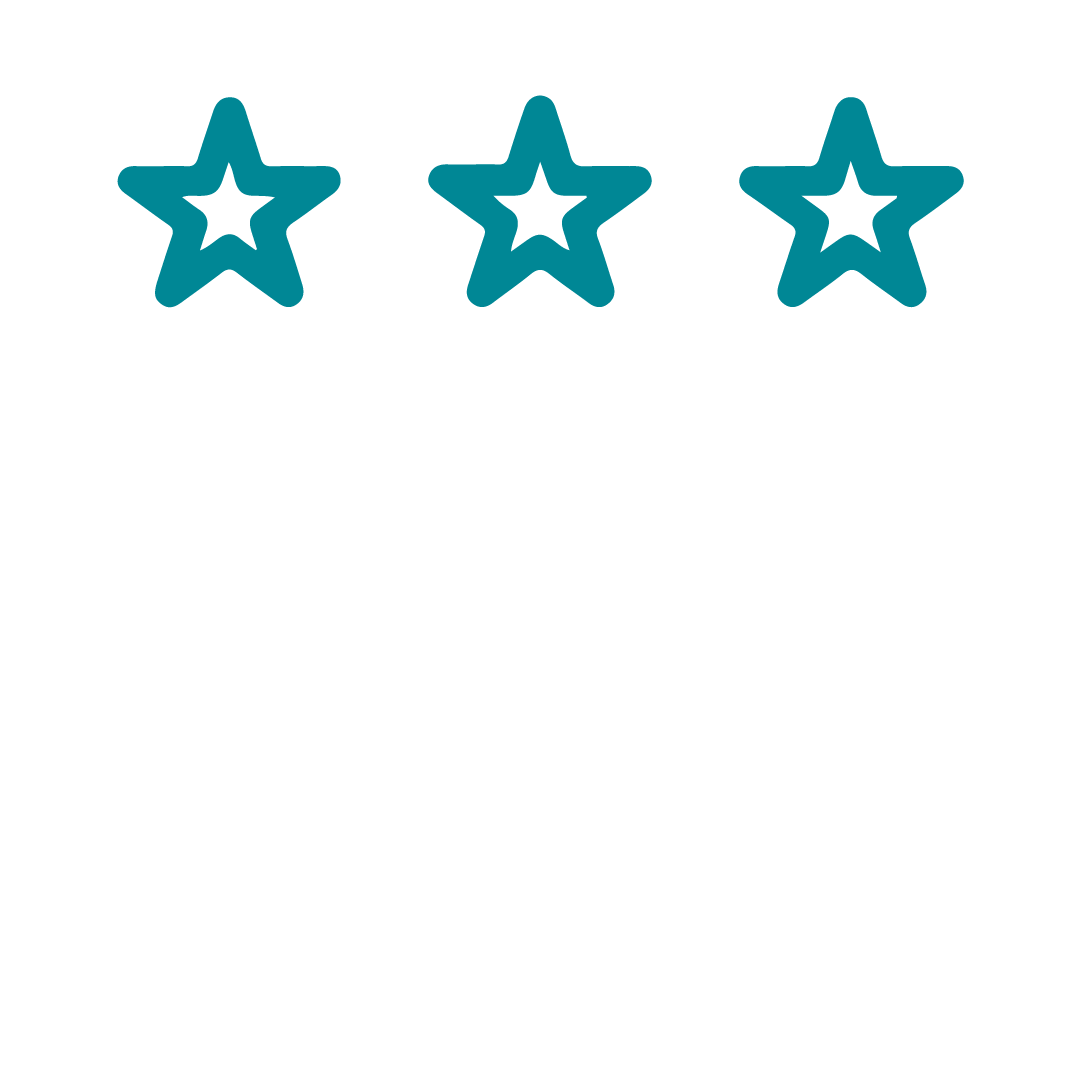 icon 5